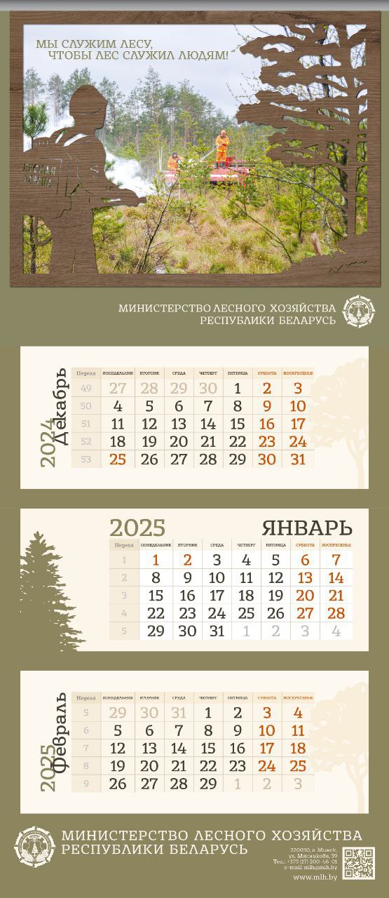 МЫ СЛУЖИМ ЛЕСУ, ЧТОБЫ ЛЕС СЛУЖИЛ ЛЮДЯМ!