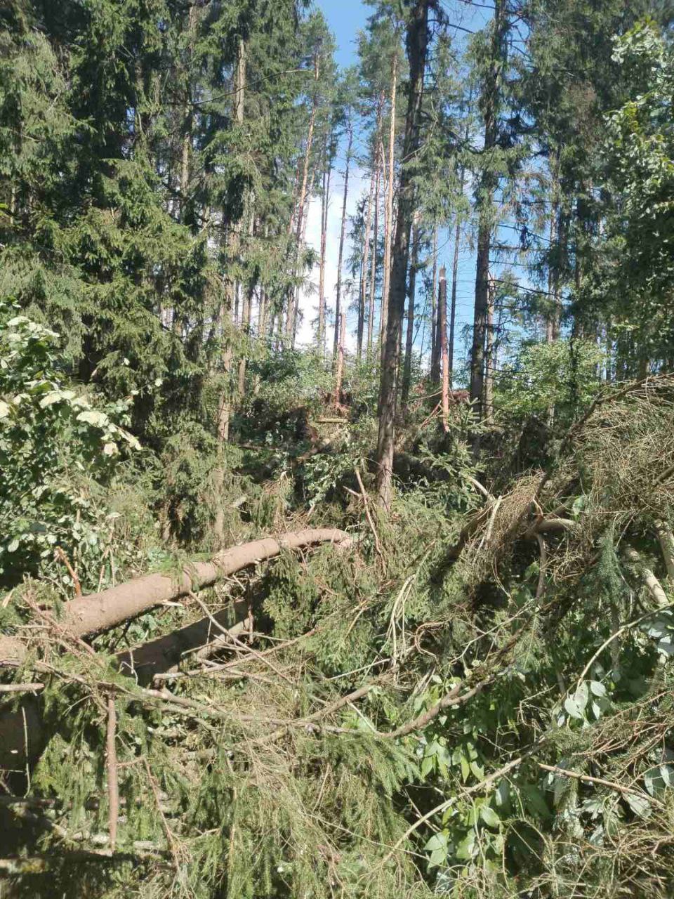 УСТРАНЯЕМ  ПОСЛЕДСТВИЯ НЕПОГОДЫ