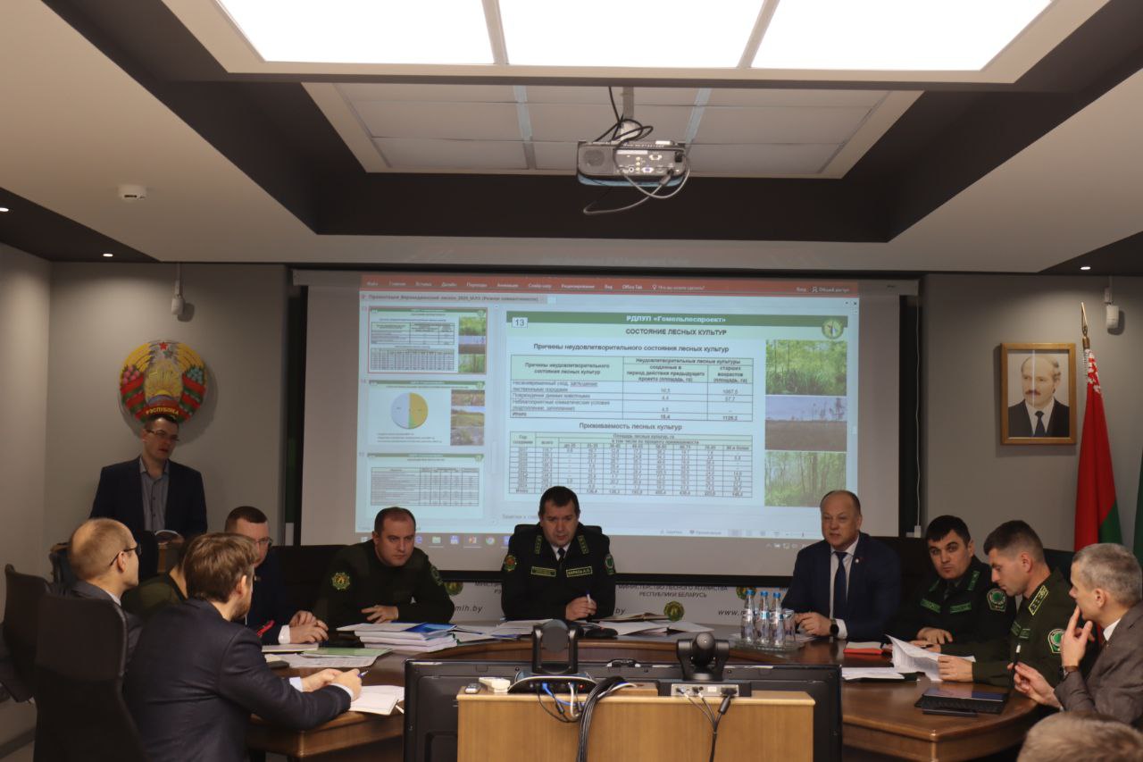 В отрасли стартовала защита лесоустроительных проектов 