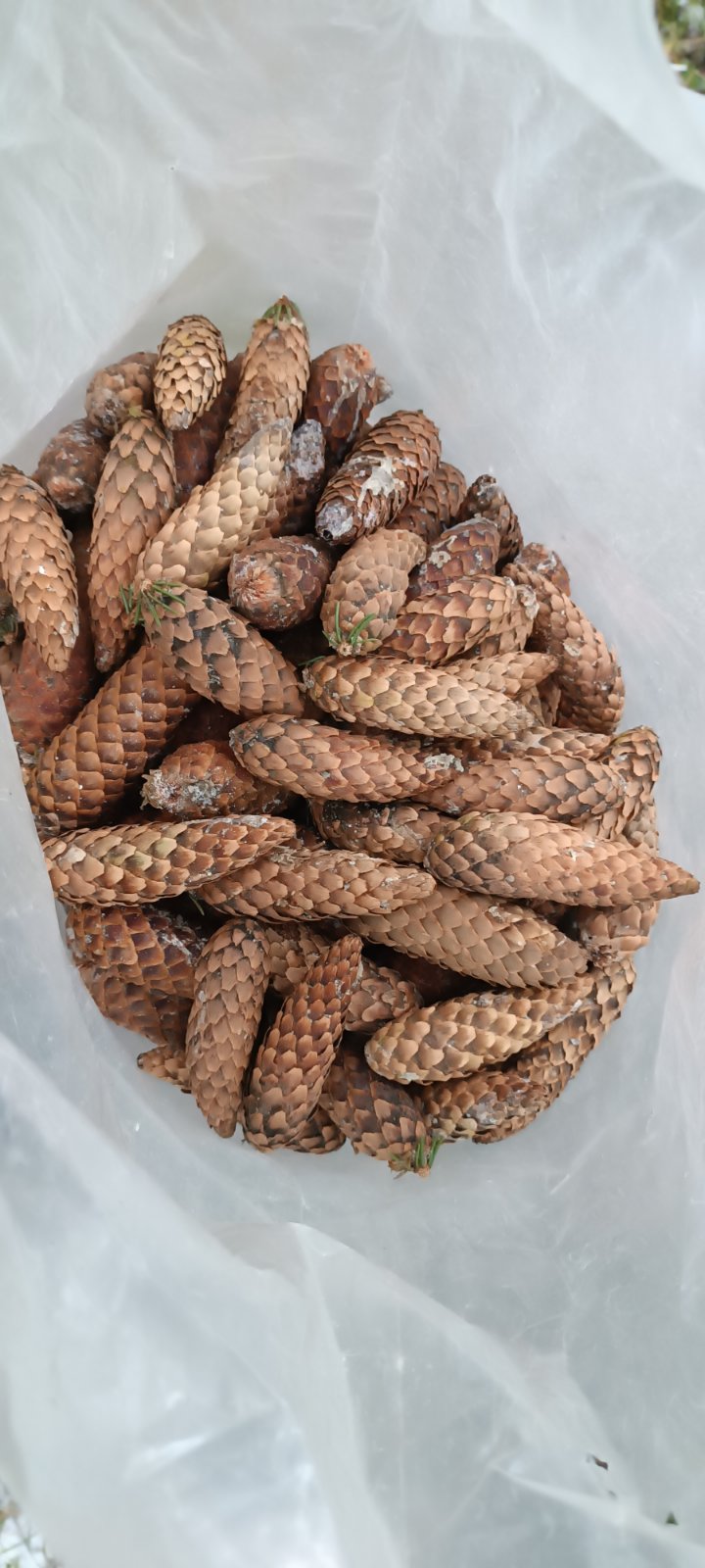 ЗАДЕЛ НА БУДУЩЕЕ!