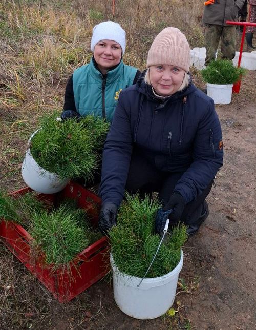 Сегодня по всей стране проходит Республиканский субботник 2025