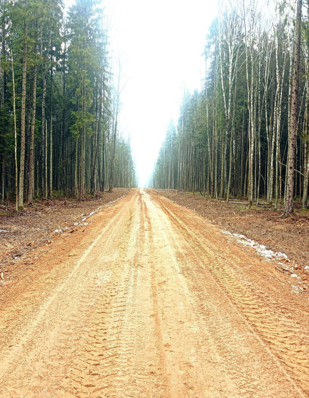 25 новых лесохозяйственных дорог появилось в стране за прошлый год