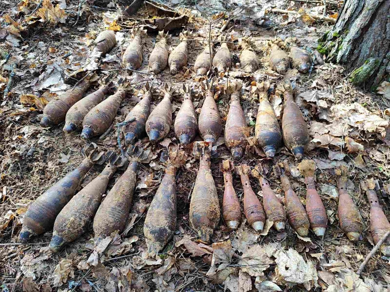 В Липовском лесничестве нашли боеприпасы времен Великой Отечественной войны!