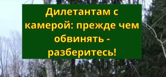 Дилетантам с камерой: прежде чем обвинять - разберитесь!