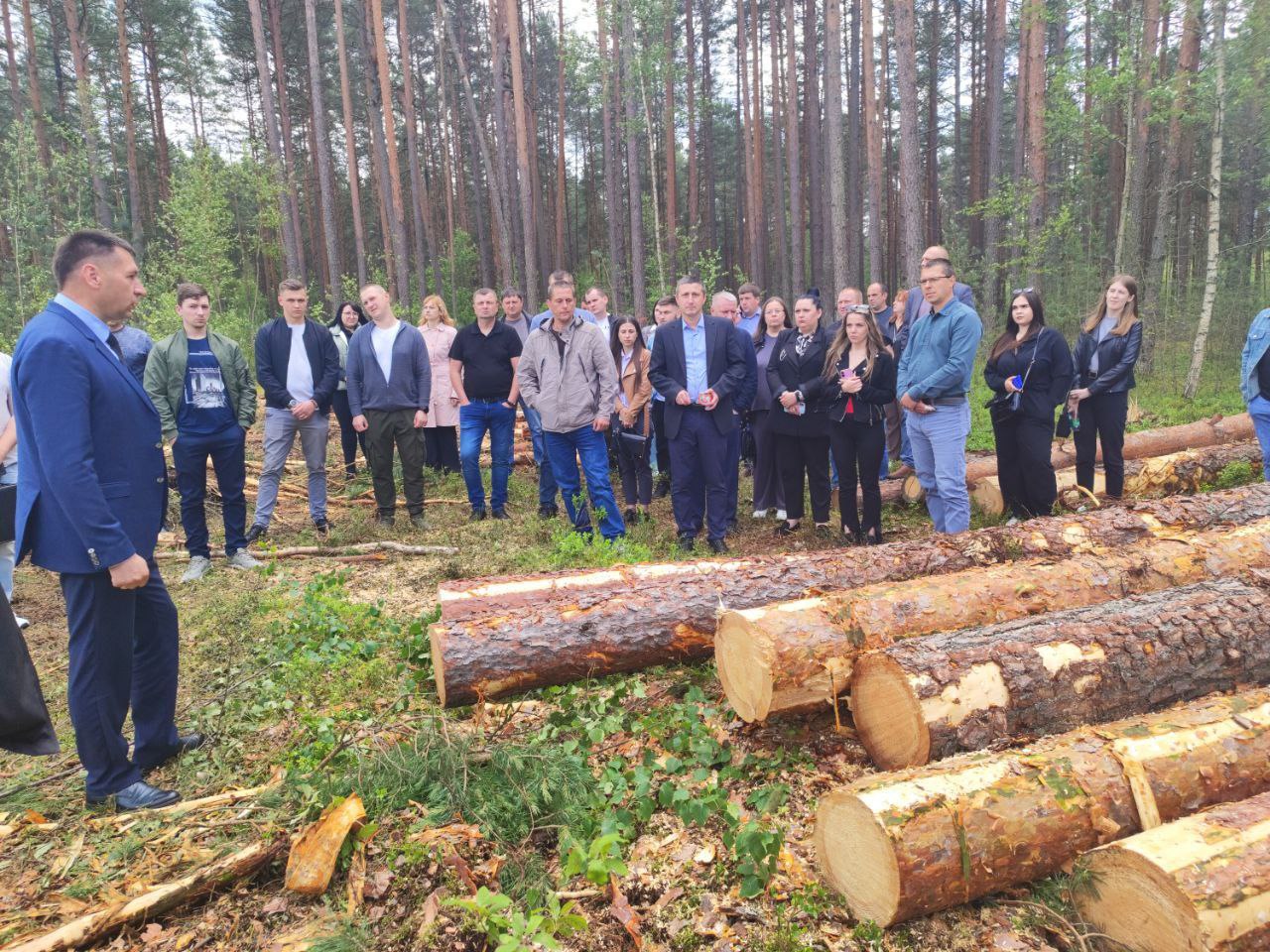 Организация контроля качества и сортировки круглых лесоматериалов, выпускаемых лесхозами объединения