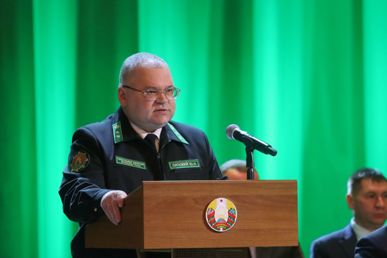 Как лесхозы Витебщины сработали в 2025 году?