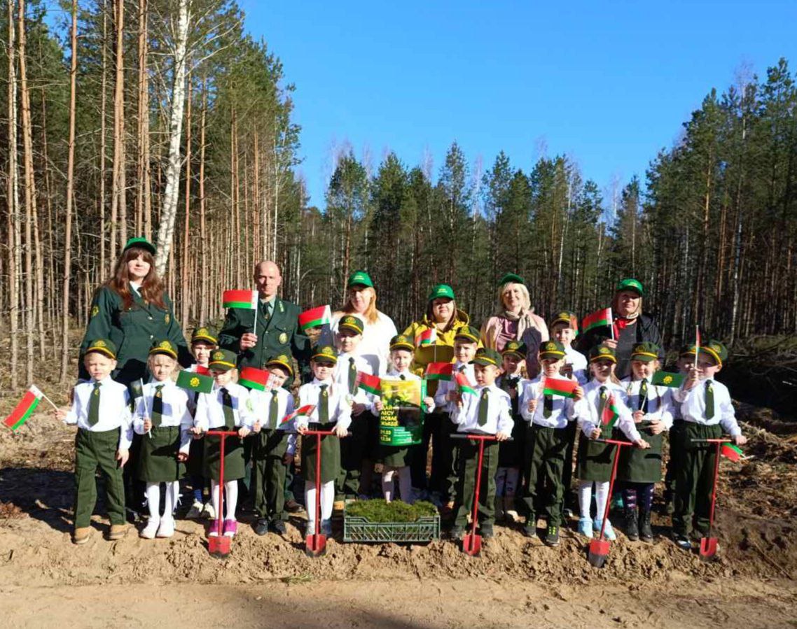 ПОДВОДИМ ИТОГИ «Дай лесу новае жыццё!» 2025